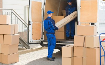 Stressfree Moving Solutions from a Hove Removals Company Trusted by American Families